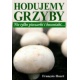 Hodujemy GRZYBY nie tylko pieczarki i boczniaki ..... Hodujemy GRZYBY nie tylko pieczarki i boczniaki .....